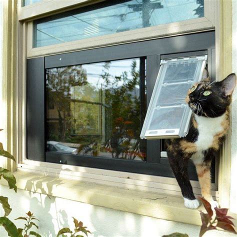 Cat door window insert - Nov 16, 2023 · It looks like something purchased and installed by a professional, but this attractive cat door is an easy DIY project that you can tackle today and get the same effect. 7. Custom Cat Door in a ... 
